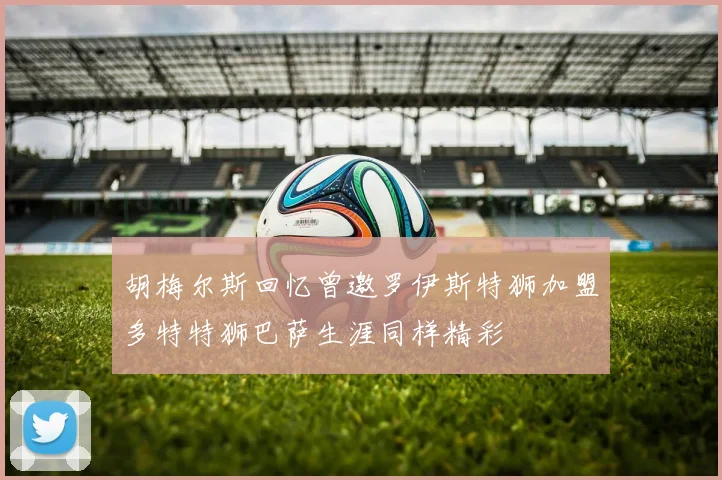 胡梅尔斯回忆曾邀罗伊斯特狮加盟多特特狮巴萨生涯同样精彩